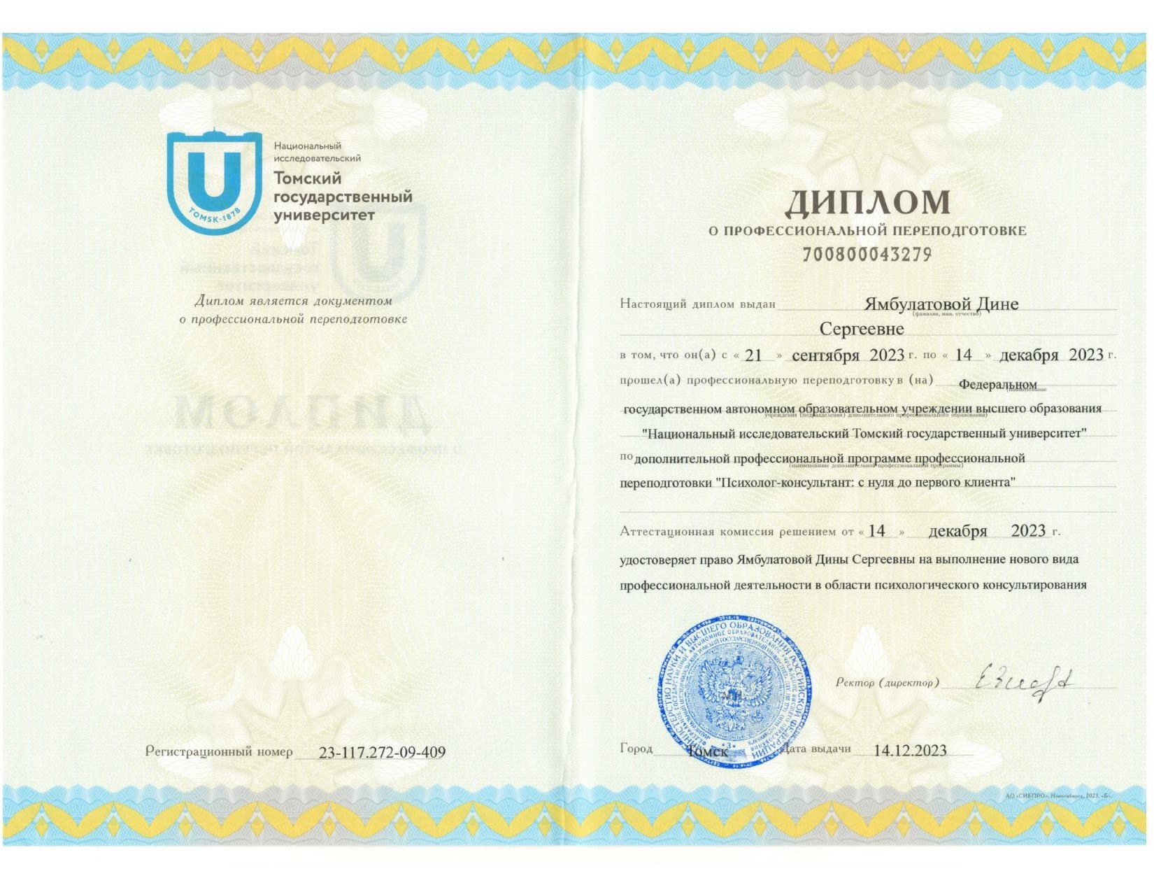 Диплом о профессиональной переподготовке, ТГУ, 2023